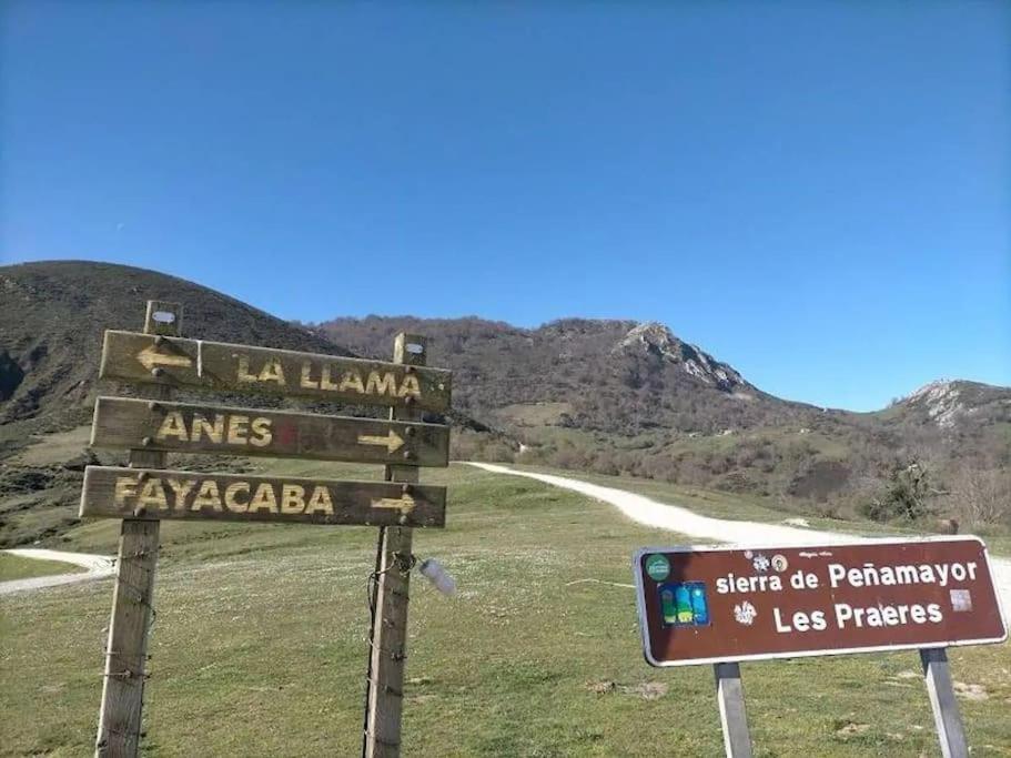 Ca La Trini Nava